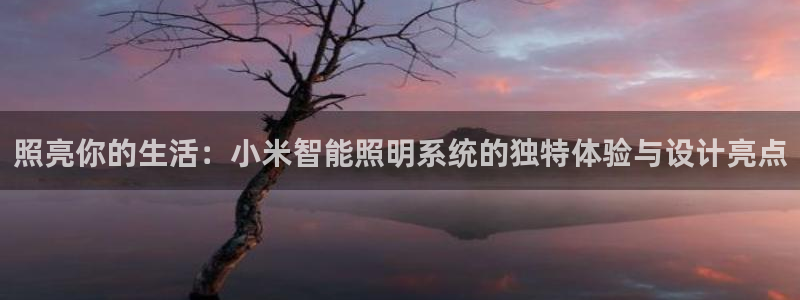 照亮你的生活：小米智能照明系统的独特体验与设计亮点