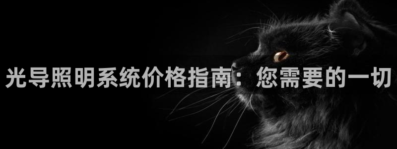光导照明系统价格指南：您需要的一切