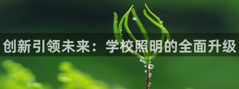 创新引领未来：学校照明的全面升级