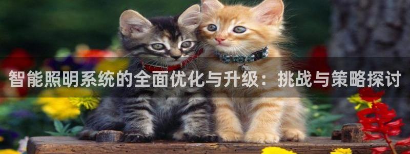 智能照明系统的全面优化与升级：挑战与策略探讨