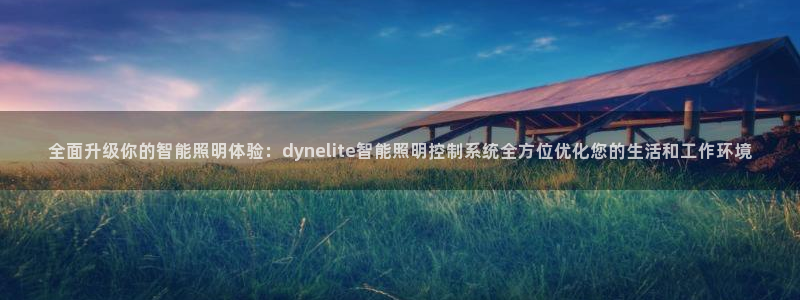 全面升级你的智能照明体验：dynelite智能照明控制系统全方位优化您的生活和工作环境