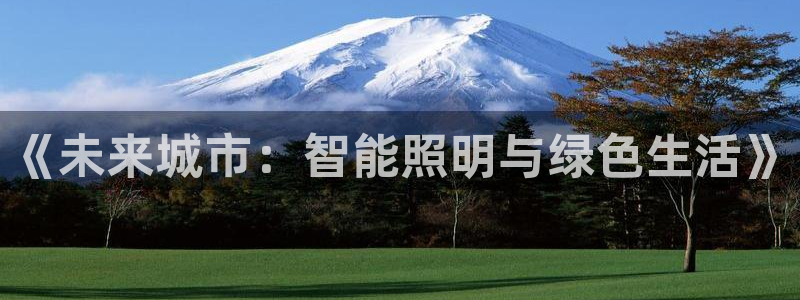 《未来城市：智能照明与绿色生活》