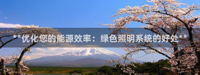 **优化您的能源效率：绿色照明系统的好处**