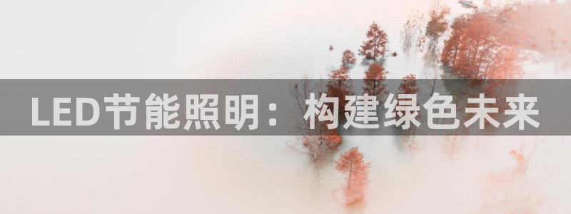 LED节能照明：构建绿色未来