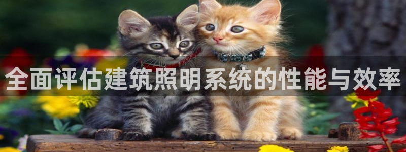 全面评估建筑照明系统的性能与效率