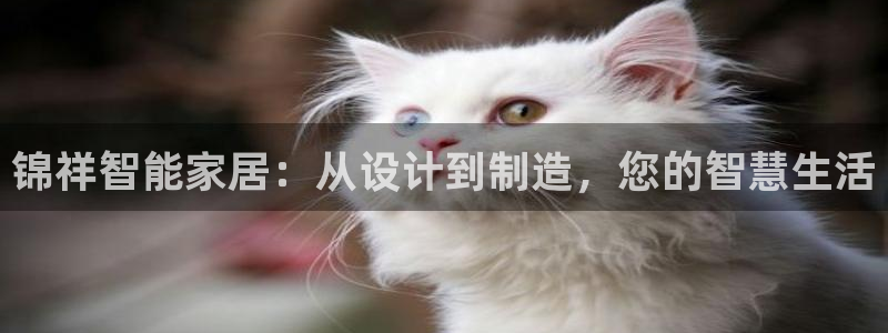 锦祥智能家居：从设计到制造，您的智慧生活