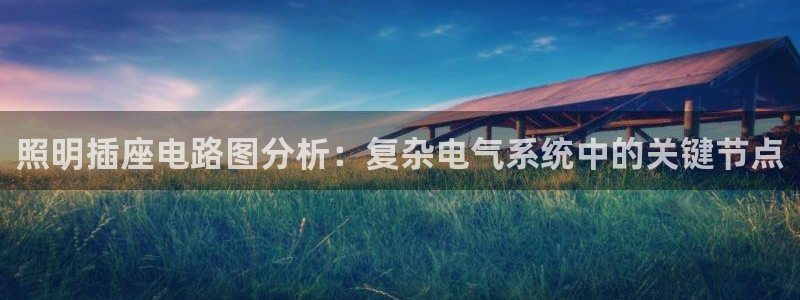 照明插座电路图分析：复杂电气系统中的关键节点