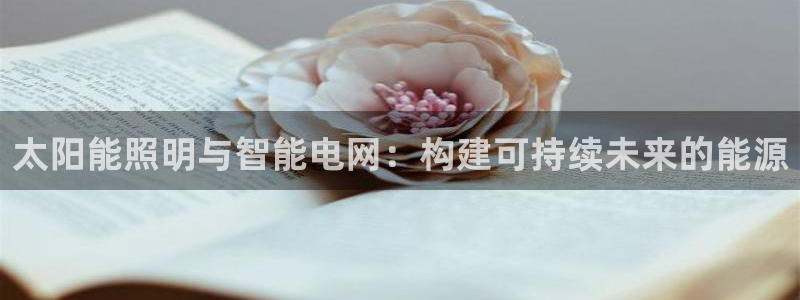 太阳能照明与智能电网：构建可持续未来的能源