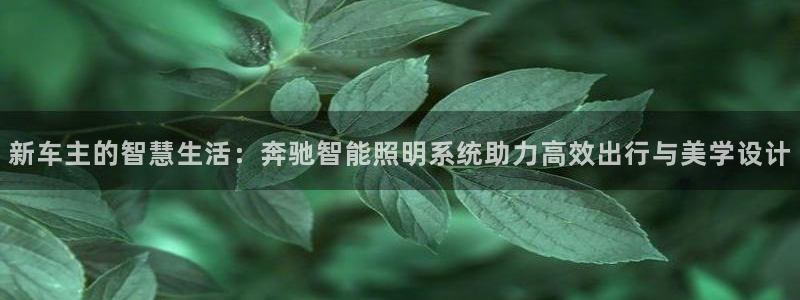 新车主的智慧生活：奔驰智能照明系统助力高效出行与美学设计
