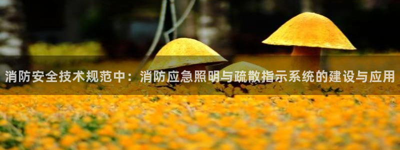 消防安全技术规范中：消防应急照明与疏散指示系统的建设与应用