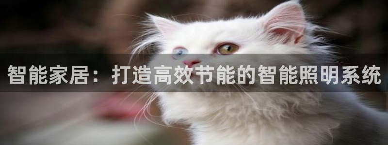 智能家居：打造高效节能的智能照明系统