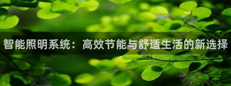 智能照明系统：高效节能与舒适生活的新选择