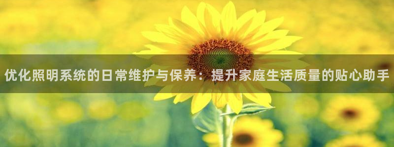 优化照明系统的日常维护与保养：提升家庭生活质量的贴心助手