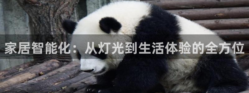 家居智能化：从灯光到生活体验的全方位