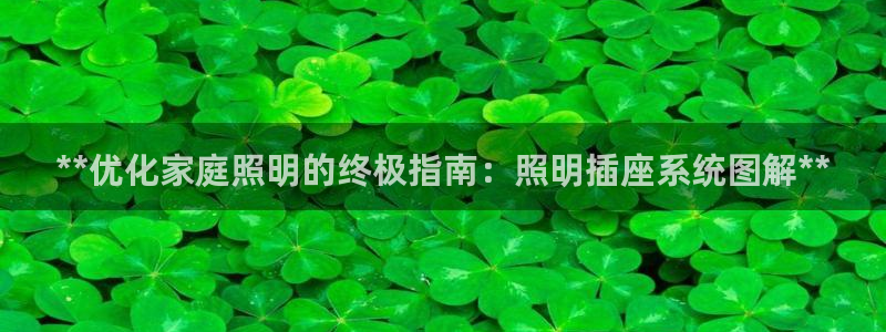 **优化家庭照明的终极指南：照明插座系统图解**