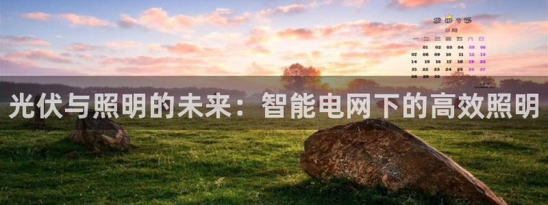 光伏与照明的未来：智能电网下的高效照明