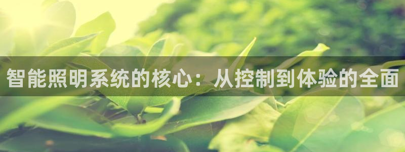 智能照明系统的核心：从控制到体验的全面