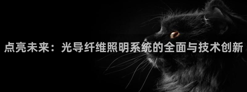 点亮未来：光导纤维照明系统的全面与技术创新