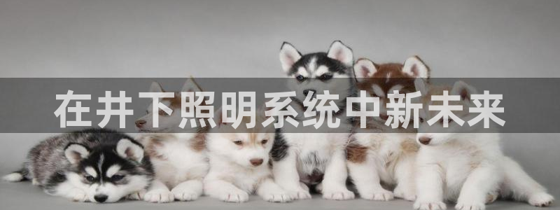 在井下照明系统中新未来