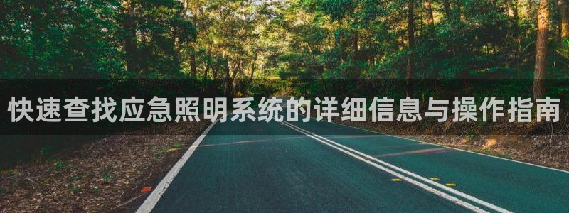 快速查找应急照明系统的详细信息与操作指南