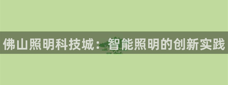 佛山照明科技城：智能照明的创新实践