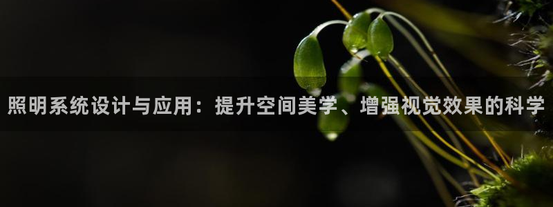 照明系统设计与应用：提升空间美学、增强视觉效果的科学