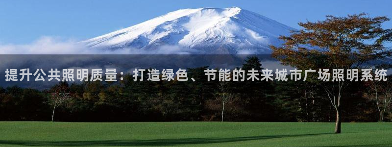 提升公共照明质量：打造绿色、节能的未来城