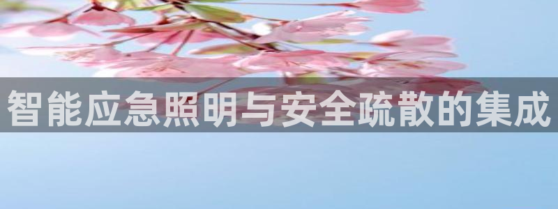 智能应急照明与安全疏散的集成