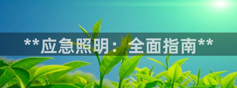 **应急照明：全面指南**