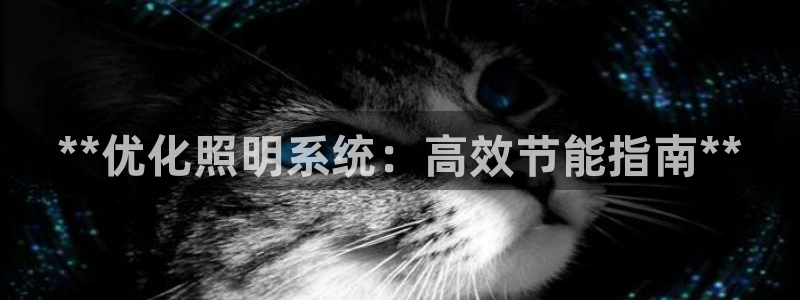 **优化照明系统：高效节能指南**