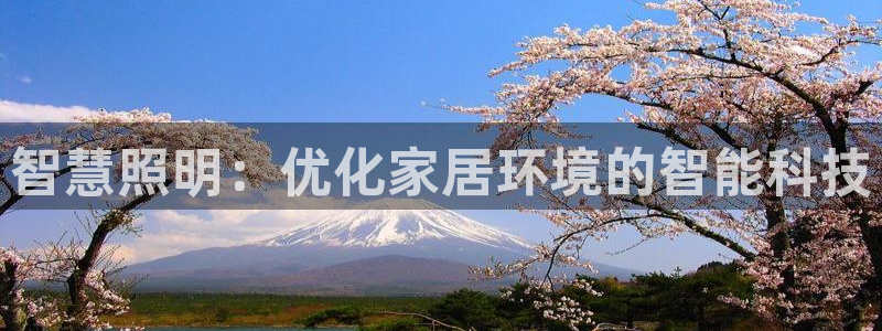 智慧照明：优化家居环境的智能科技