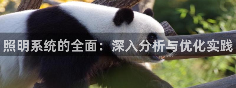 照明系统的全面：深入分析与优化实践