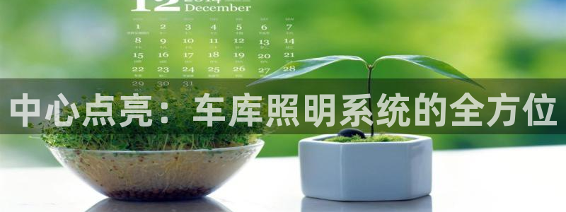 中心点亮：车库照明系统的全方位