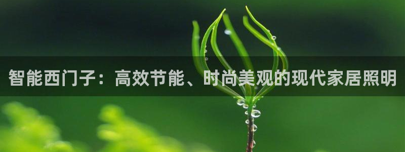 智能西门子：高效节能、时尚美观的现代家居照明