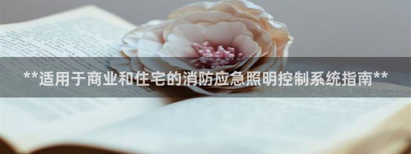 **适用于商业和住宅的消防应急照明控制系