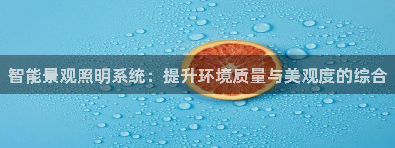 智能景观照明系统:提升环境质量与美观度的