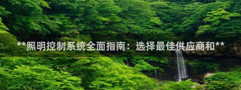 **照明控制系统全面指南：选择最佳供应商和**