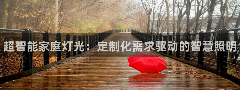 超智能家庭灯光：定制化需求驱动的智慧照明