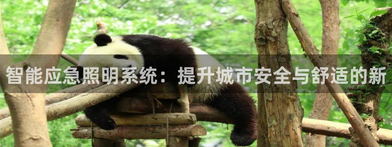 智能应急照明系统：提升城市安全与舒适的新