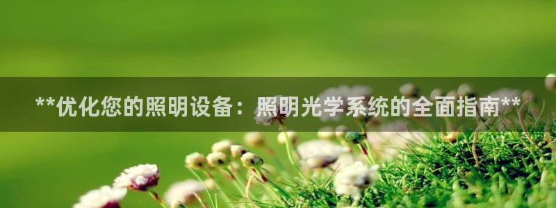 **优化您的照明设备：照明光学系统的全面指南**
