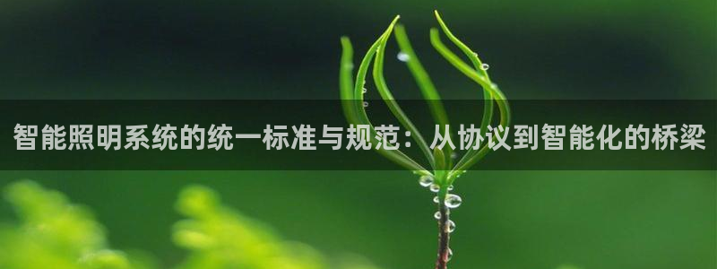 智能照明系统的统一标准与规范：从协议到智能化的桥梁