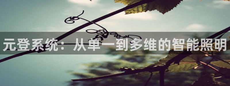 元登系统：从单一到多维的智能照明