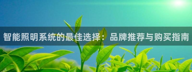 智能照明系统的最佳选择：品牌推荐与购买指